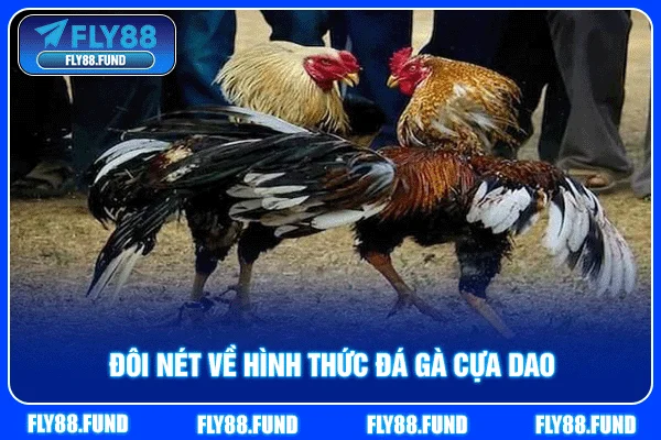 Đôi nét về hình thức đá gà cựa dao